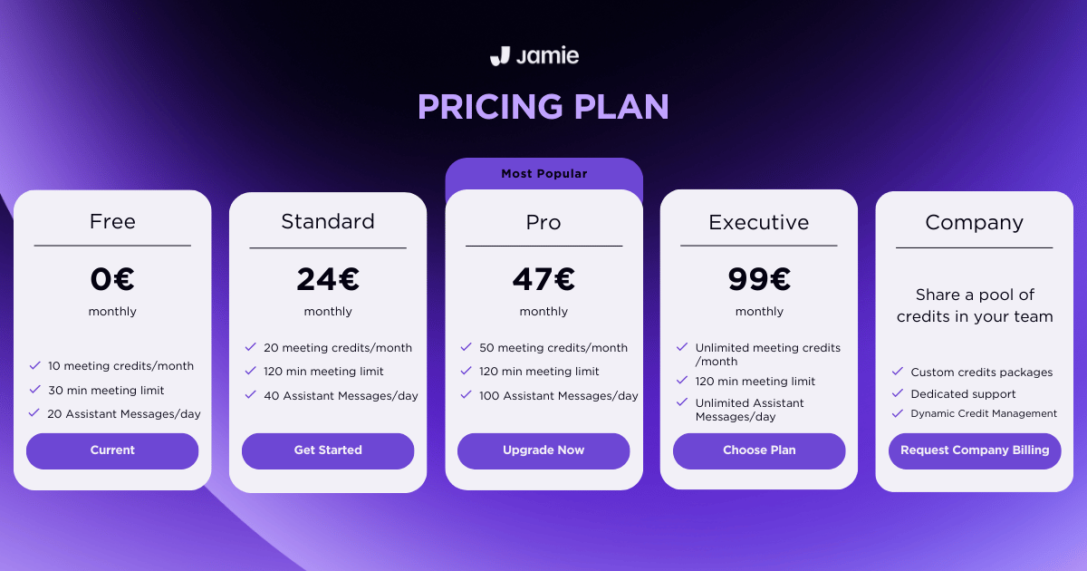 Jamie pricing plan