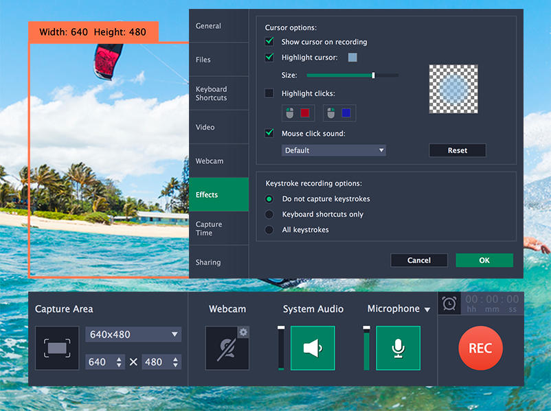 movavi dashboard